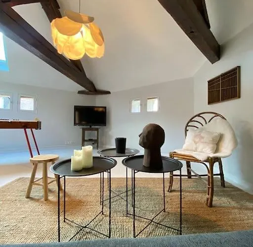 Apartment L'euphoria - Coeur Historique - Chateau *